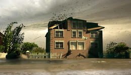 Tacoma Storm Damage Repair/Weatherproofing